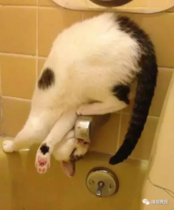 别跟我谈什么梦想我只想躺赢,别跟我谈什么梦想