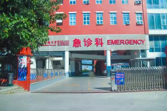 未来东海发展潜力,未来的东海岛怎样