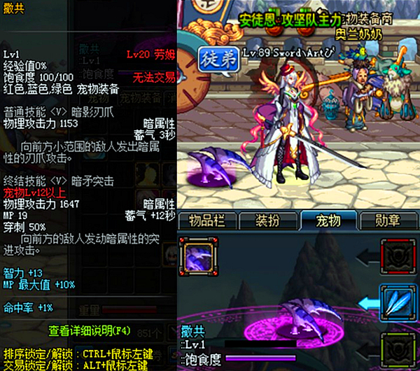 dnf所有奶宠提升,dnf奶妈1万智力