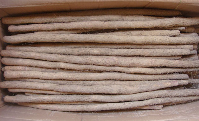 孩子积食发烧怎么办,孩子有食火积食怎么办