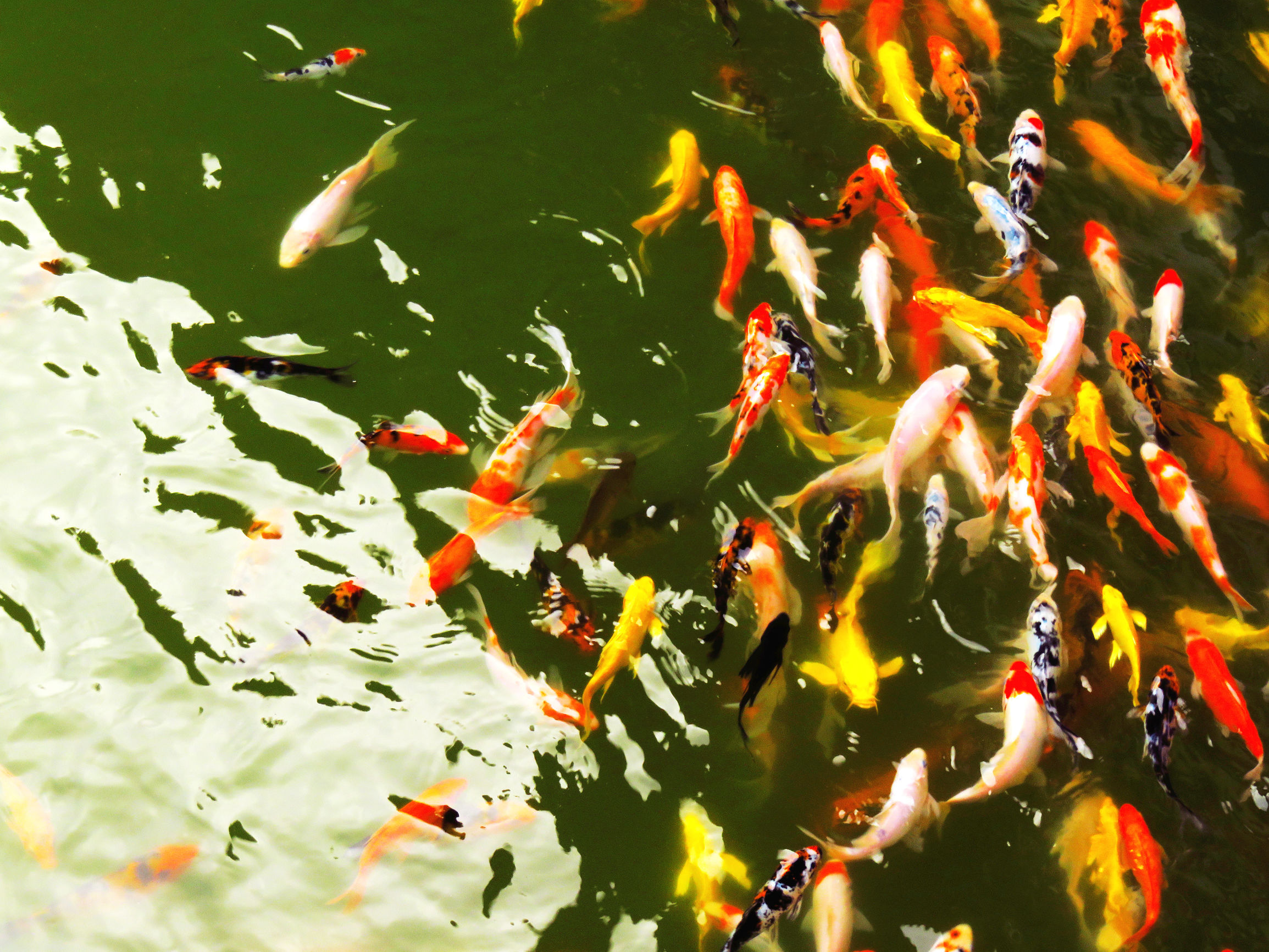 美醉了原唱完整版,兴台古镇一日游有感