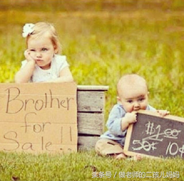 二宝把大宝打了,二宝打大宝妈妈让大宝还手的视频