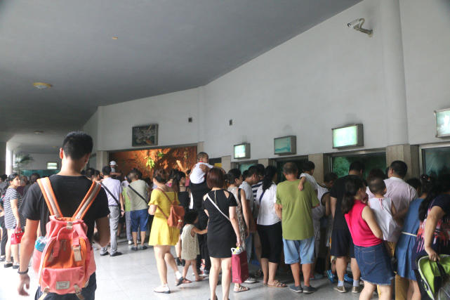 成都动物园看各种动物,成都动物园周末打卡景点