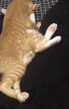 别跟我谈什么梦想我只想躺赢,别跟我谈什么梦想