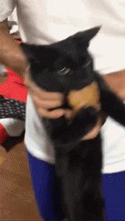 别跟我谈什么梦想我只想躺赢,别跟我谈什么梦想