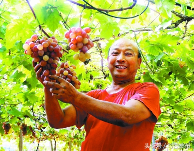 中国句容第十届丁庄葡萄节,中国江苏句容第十届丁庄葡萄节
