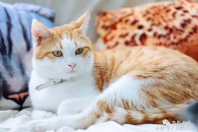 eos6d2照片不够清晰,eos6d2配什么镜头