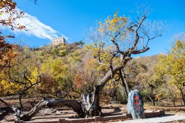 黄花城水长城一日游攻略,黄花峪水长城最佳旅游线路图