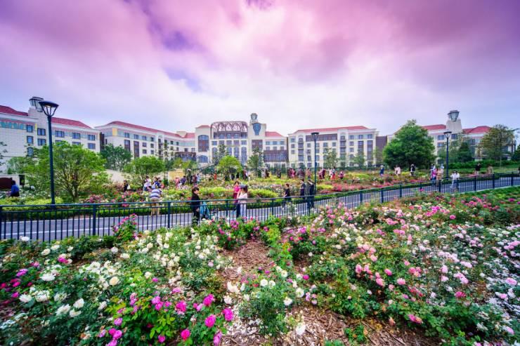 去上海迪士尼玩的详细攻略,去上海迪士尼玩一天的攻略