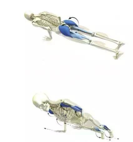 坚持一个月平板支撑会有什么变化,坚持练平板支撑身材有什么变化