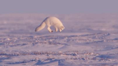 豆瓣9.7的冷门好片，送给每个热爱生命的人