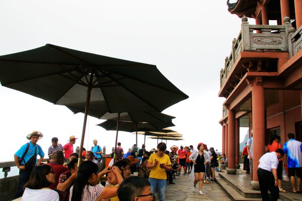 天天有人去山上采蘑菇,每天来观看的游客上万人