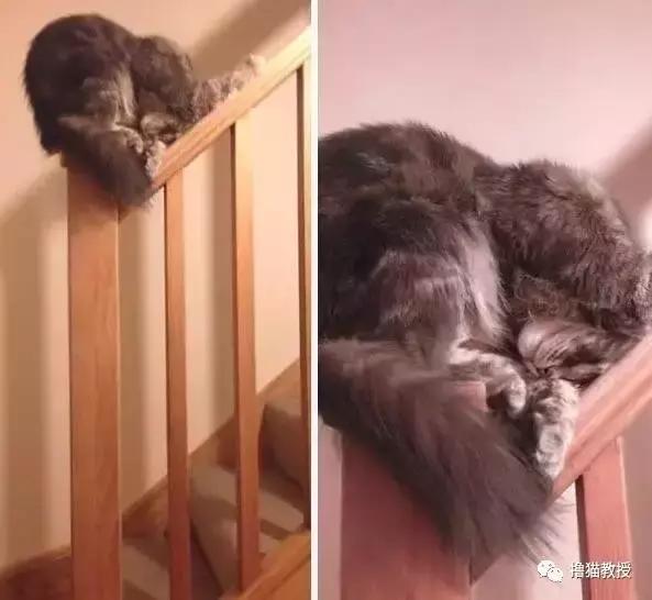 别跟我谈什么梦想我只想躺赢,别跟我谈什么梦想