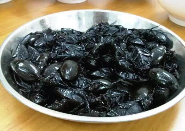 广东人天上飞的地上跑的,广东人吃天上飞的地上跑的能吃吗