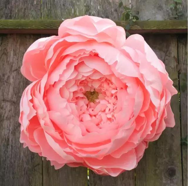 会枯萎腐烂的仿真花,会枯萎的花有什么