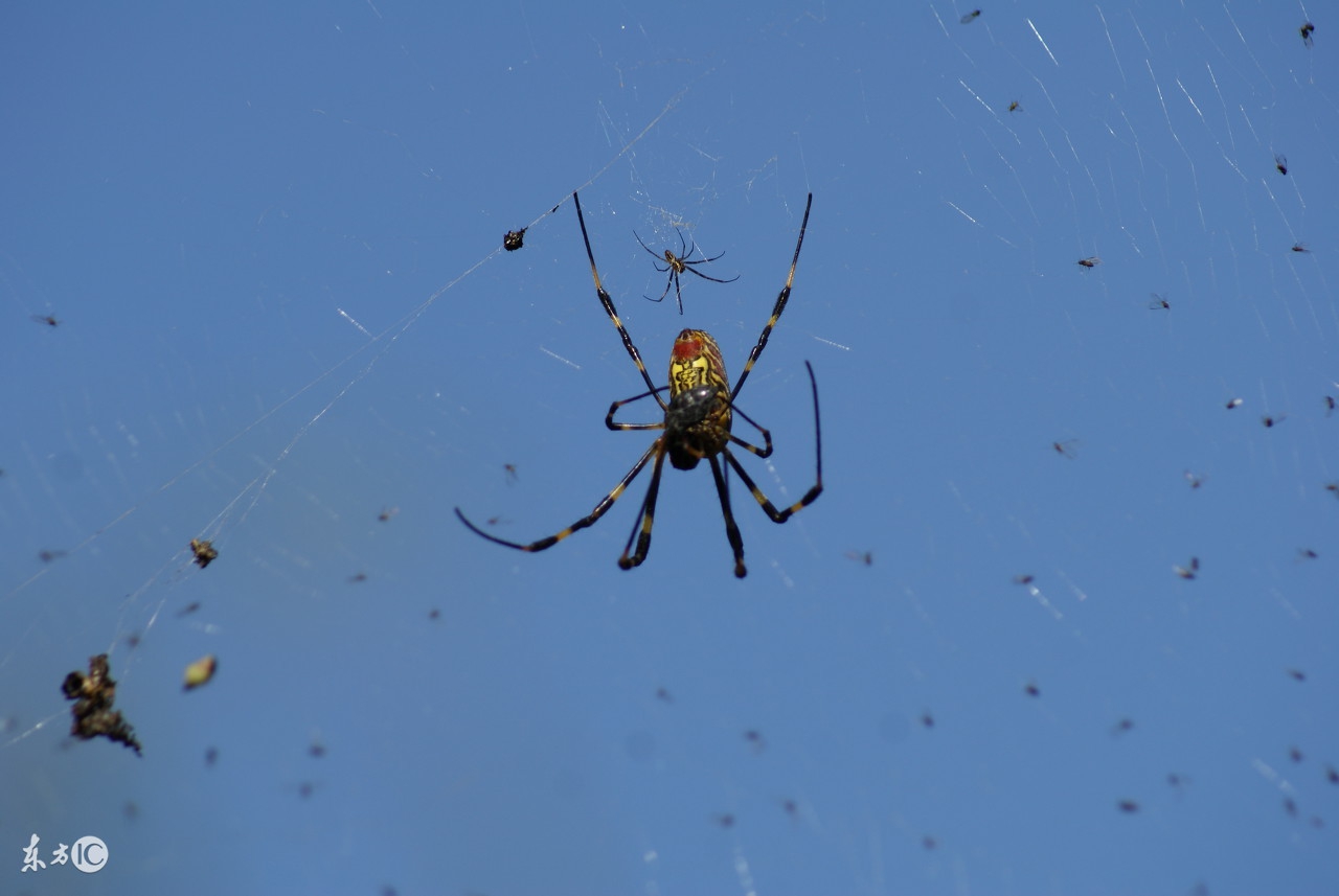 8个你不愿意接受的冷知识你知道几个?