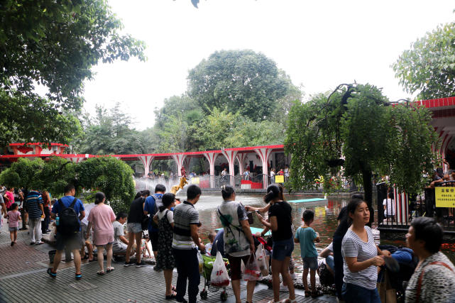 成都动物园看各种动物,成都动物园周末打卡景点