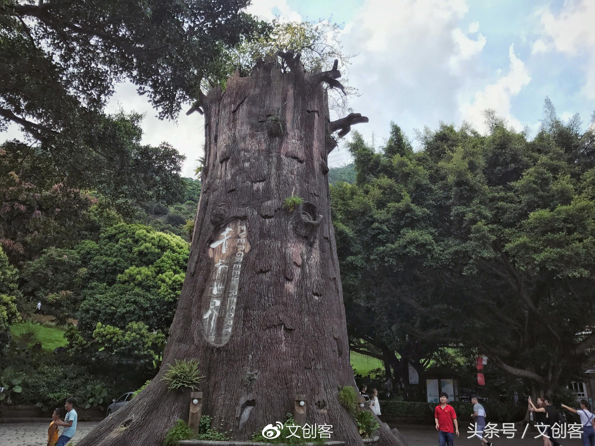 深圳青青世界累吗,深圳青青世界夏天热吗