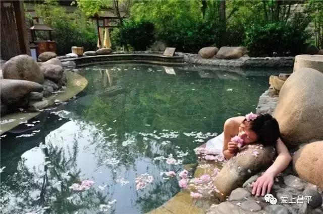 我们是谁原版,我们是谁完整版