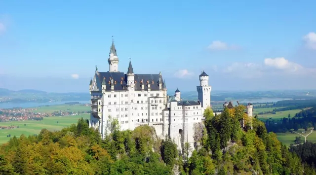 德国进口体外碎石机价格,体外诊断设备进口厂家