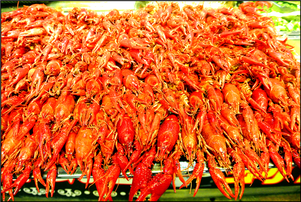 没去鼓浪屿，却巧遇曾厝垵“煮好吃”