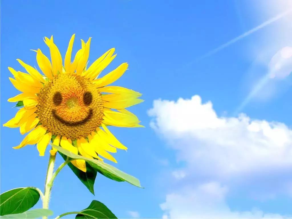 卵巢癌复发了怎么办,卵巢癌复发盆腔转移