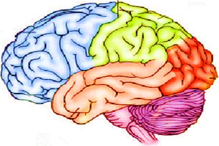 脑干胶质瘤晚期死前兆,热疗可以治疗脑干胶质瘤吗