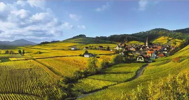 世界上最好喝的酒葡萄酒白色,全世界最好喝的干红