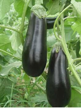 成功祛斑百分之八十！记得收藏！