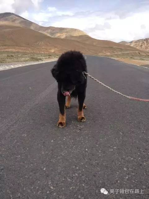 骑行新藏线阿里地区,骑行阿里大北线行程详细攻略