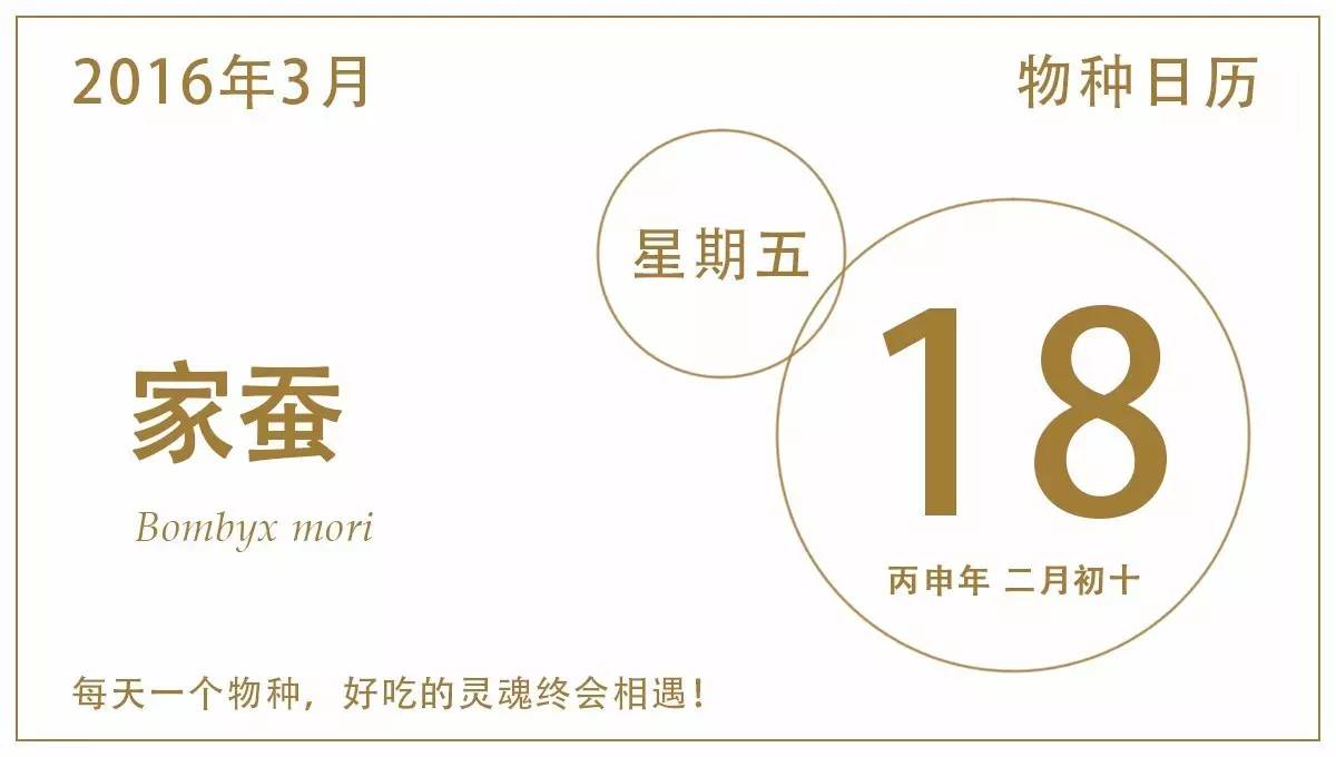 春蚕到死丝方尽整句诗,春蚕到死丝方尽图片