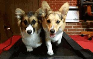 苹果发布会没告诉你的细节,苹果发布会一切都是刚刚好