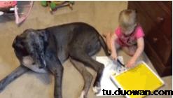 足球动态图片gif图,足球gif动图素材