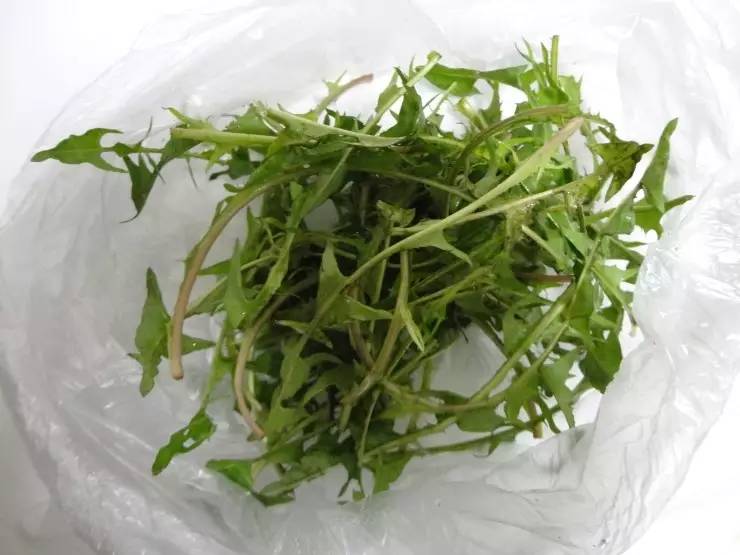 常见野菜吃法做法大全,常见野菜种类吃法