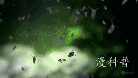 科学美图6：水螅的嘴是撕出来的、零重力下蜡烛火焰是蓝色的圆形