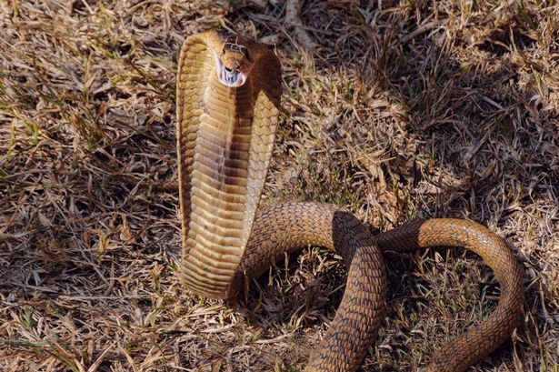 想好你的婚礼要怎么办了吗？没想好就看看别人是怎么做的
