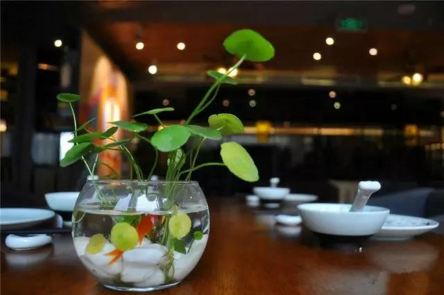 重庆最有特色的餐厅,重庆最市井的美食