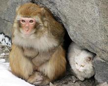 震惊震惊。。。你的梦都预示着什么？