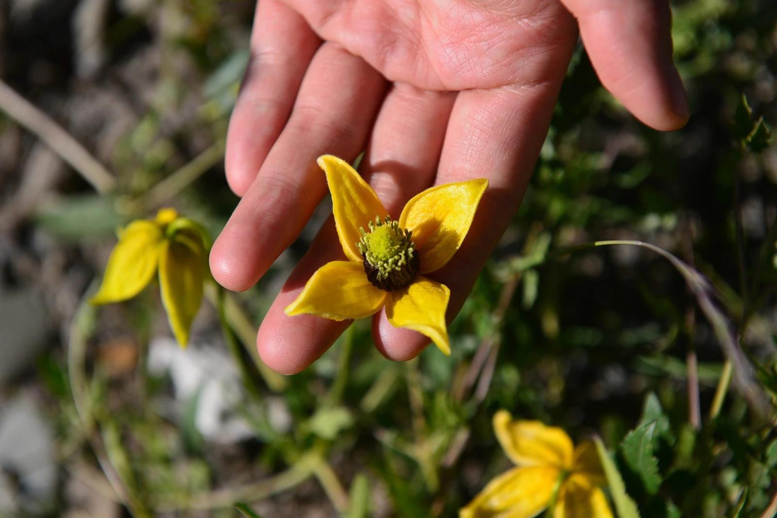 鐏电杞笘闈掓捣,杞笘鐏电闈掓捣