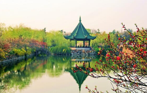 龙猫欢乐世界,龙猫的世界地址