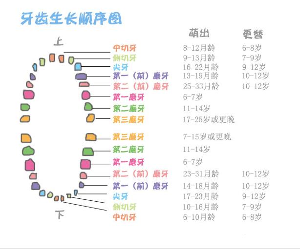 宝宝长牙会咬人流口水吗,宝宝流口水咬人是什么原因