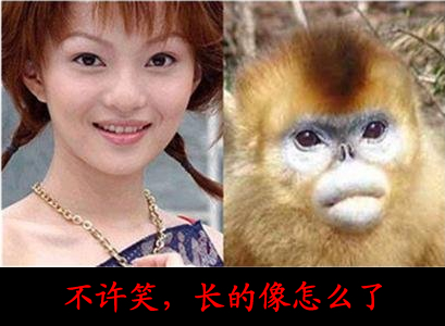 内涵段子，搞笑笑话：不许笑，长的像怎么了