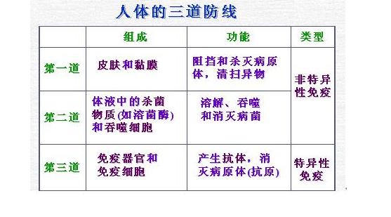 缺乏锻炼提高免疫力,缺乏抵抗力应该怎么办