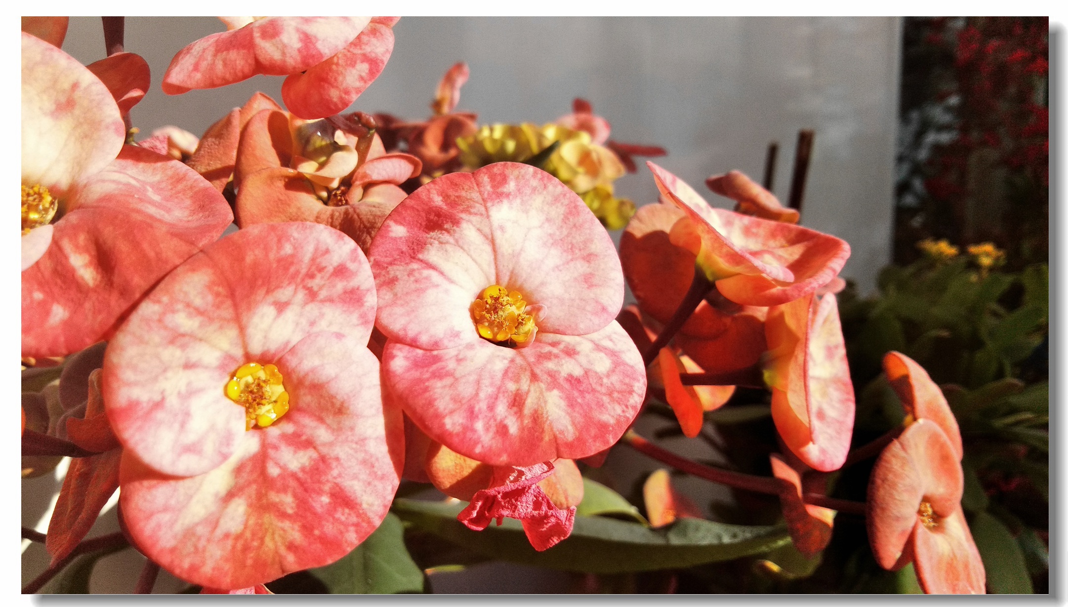 海信a151测评,海信a100评测