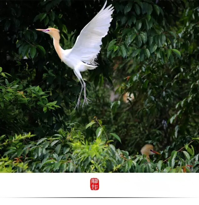 云南临沧美景图片,云南临沧旅行风景