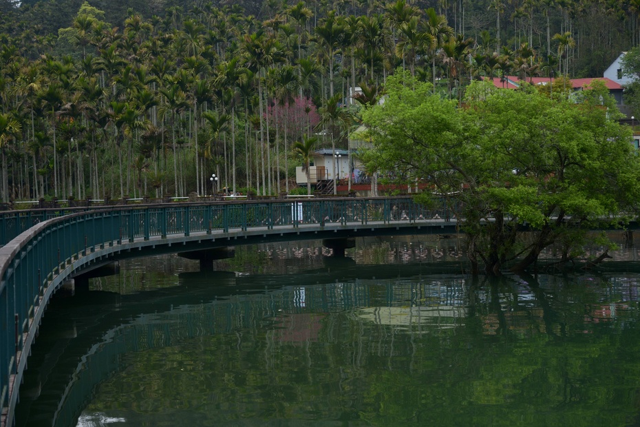 台湾租机车环岛条件,台湾骑行环岛租摩托车多少钱