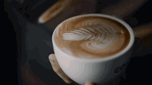 新式社交朋友圈,社交媒体怎么做个人品牌