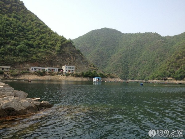 探钓野生鱼视频,探钓野生水库