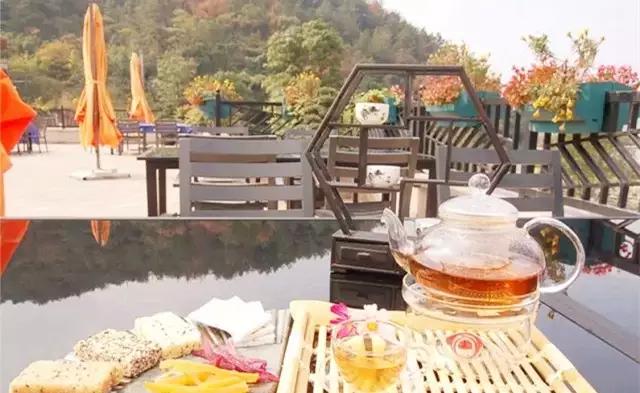 这个周末带孩子去玩,赏花春游好去处花博园