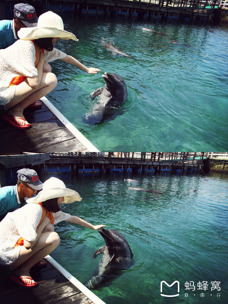 一起去三亚旅游就是最好的陪伴,三亚攻略自由行情侣